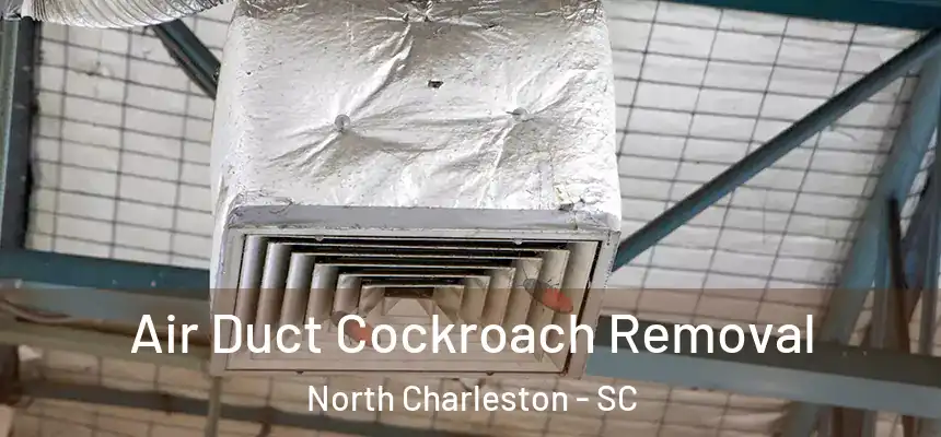 Air Duct Cockroach Removal North Charleston - SC