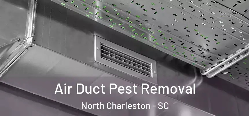 Air Duct Pest Removal North Charleston - SC