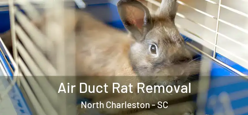 Air Duct Rat Removal North Charleston - SC