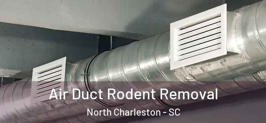 Air Duct Rodent Removal North Charleston - SC