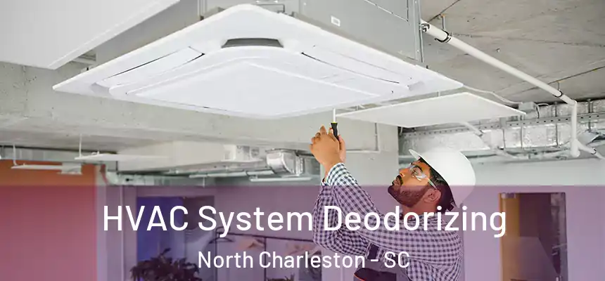HVAC System Deodorizing North Charleston - SC