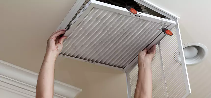 Preventive Cockroach-Proofing for Ducts in North Charleston