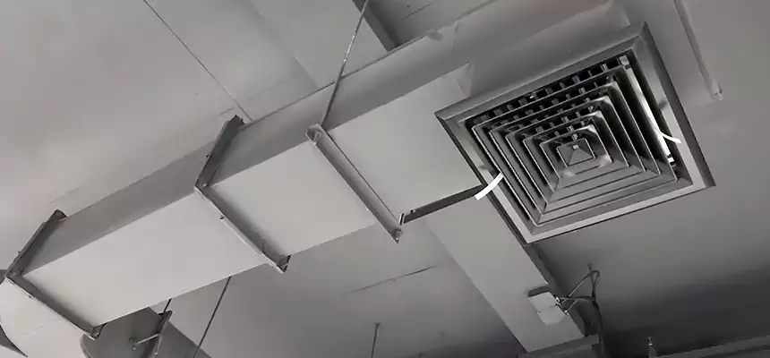 Restorative Allergy Relief Vent Cleaning – Coil, Blower & Housing Detail in North Charleston