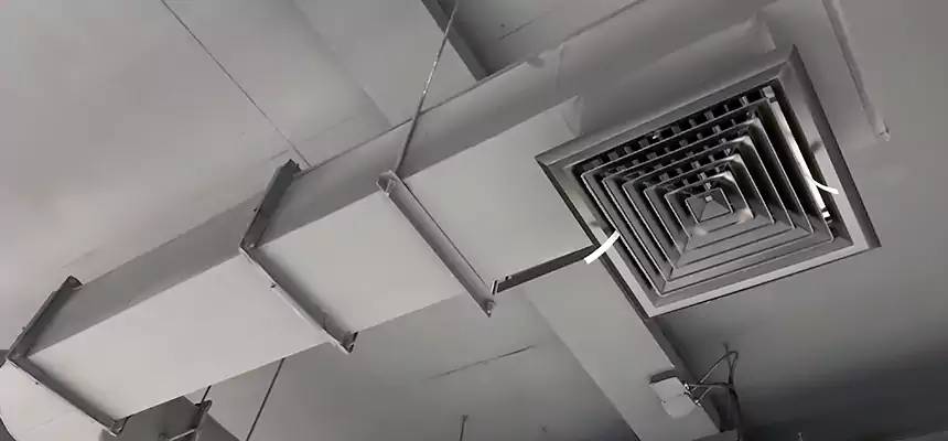 Our Pest Removal From Ducts Services in North Charleston, SC