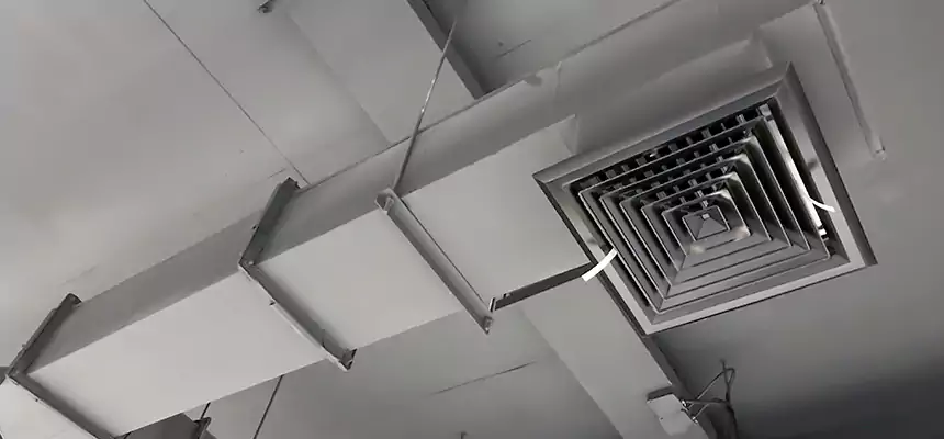 Our Rodent Droppings In Vents Services in North Charleston, SC