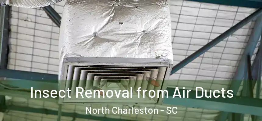 Insect Removal from Air Ducts North Charleston - SC