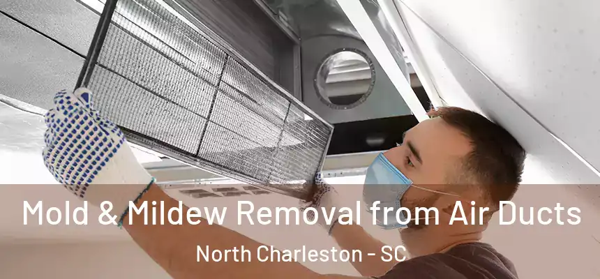 Mold & Mildew Removal from Air Ducts North Charleston - SC