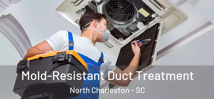  Mold-Resistant Duct Treatment North Charleston - SC