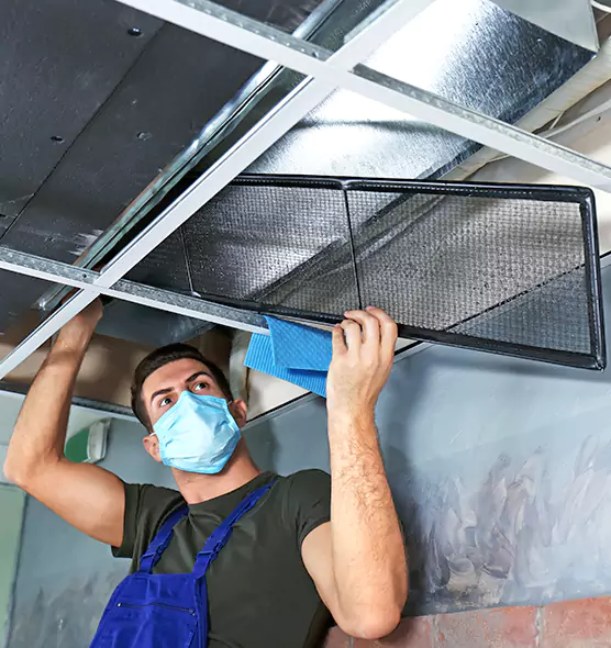 About Air Duct Bacteria Removal in North Charleston