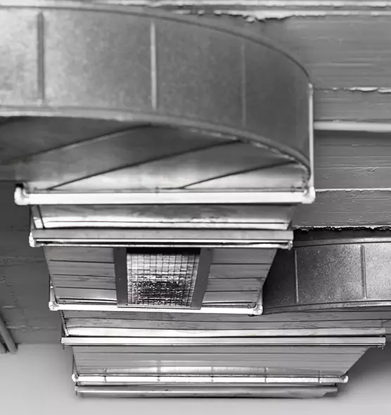 Professional Air Duct Pest Removal in North Charleston, SC