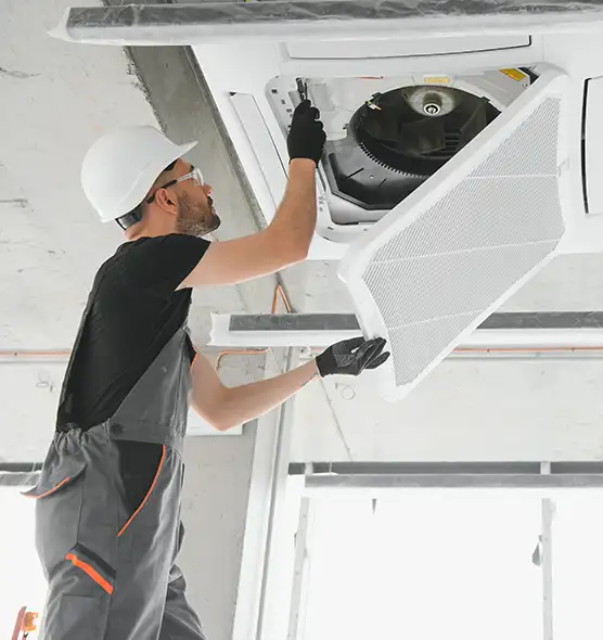 About Air Duct Rodent Removal in North Charleston, SC