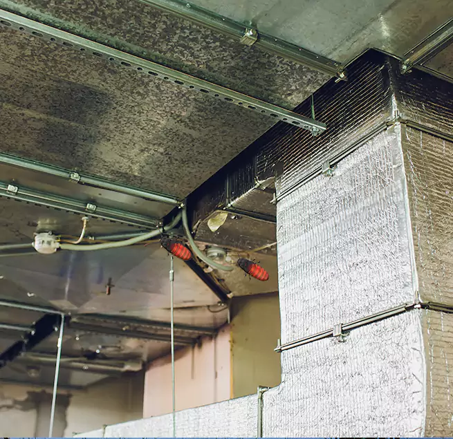 Why Homeowners & Businesses Trust Us in North Charleston, SC?