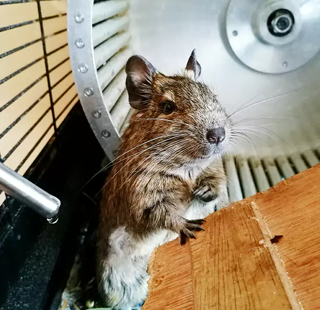 Why Homeowners & Businesses Trust Us North Charleston, SC