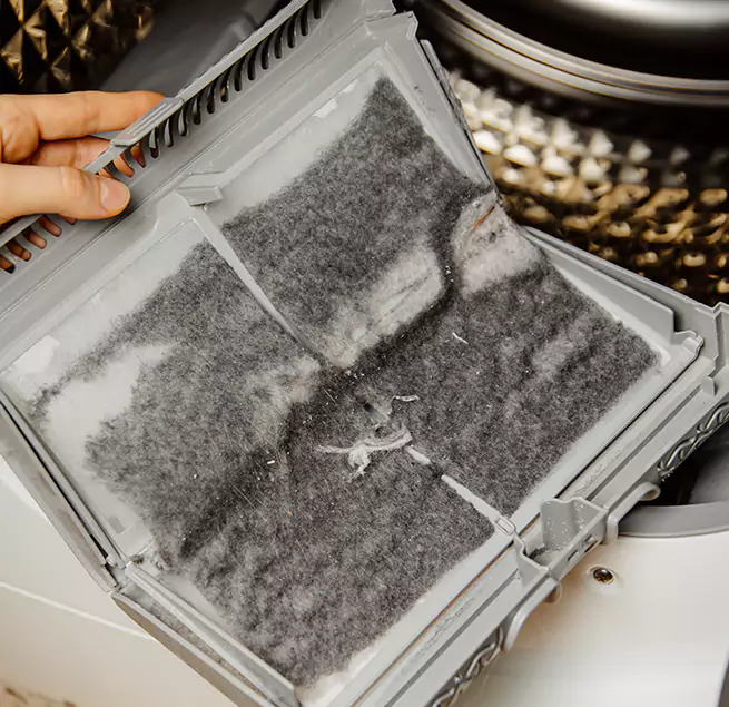 Why Homeowners & Businesses Trust Us North Charleston, SC?