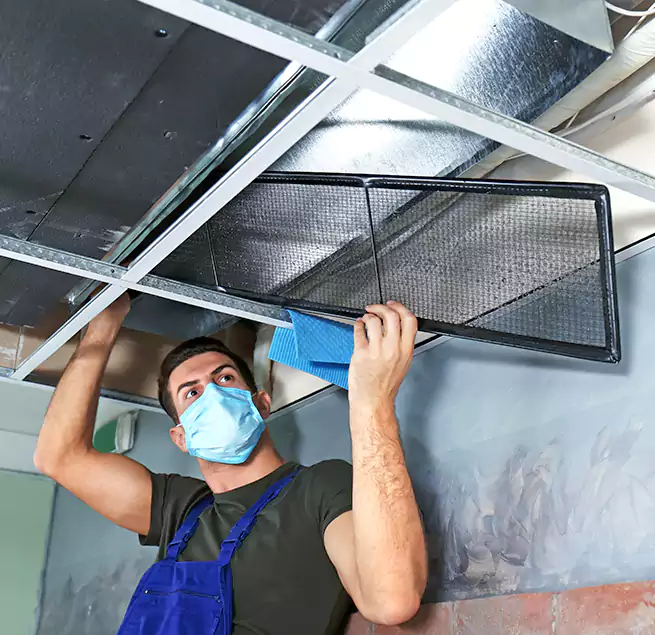 Why Homeowners Businesses Trust Us in North Charleston, SC